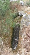 archeologische opgraving van een kindergraf