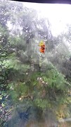 whats new .....regen, regen, regen