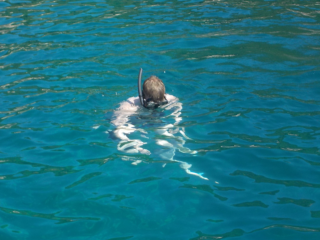 Rechtop snorkelen
