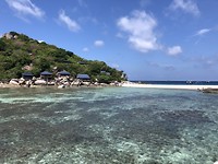 Ko Tao