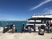Met Catamaran naar Ko Samui