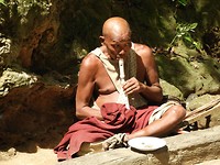 fluittist, beetje geld verdienen