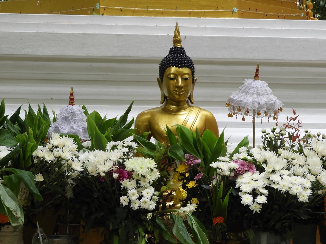 Flower Boedha