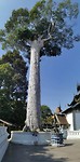 IMG_20191206_104819