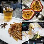 Vruchten & insecten