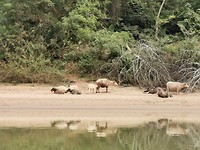 Nam Ou river