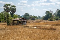 Don Khon