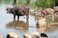 Somphamit Waterfall