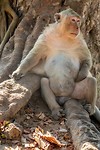 DSC01338