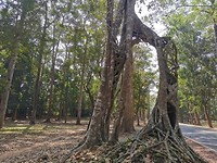 IMG_20200127_105058