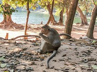IMG_20200127_155632