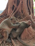 IMG_20200127_160020