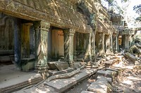 Ta Prohm Temple