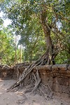 Ta Prohm Temple