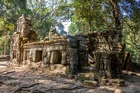 Ta Prohm Temple