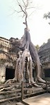 Ta Prohm Temple