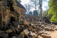 Ta Prohm Temple