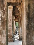 Ta Prohm Temple