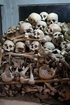 Killing Caves