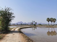 Rijstvelden Kanchanaburi