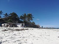Strand:)