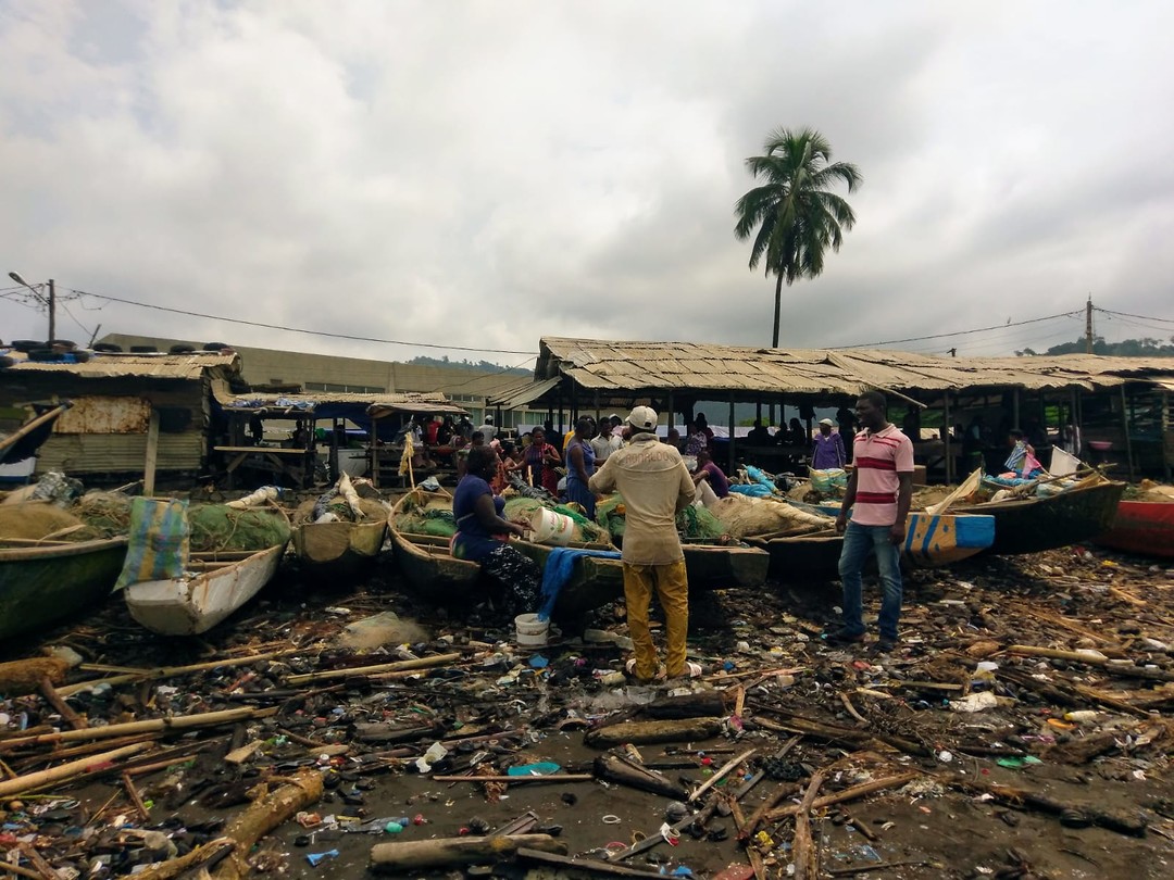 Vismarkt Limbe