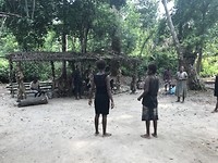 Pygmeeën