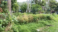 Ko Yao Noi