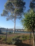Port Augusta - uitzicht