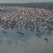 IMG_0027