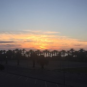 IMG_0028