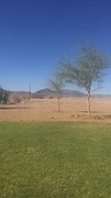 IMG_0023