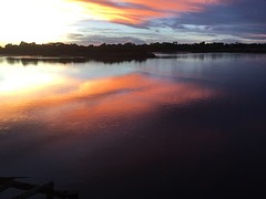 IMG_0056
