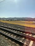 A949BB9B-191A-48E7-8074-7A545F7D7083