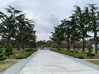 07239761-020C-4910-AAF0-6B466555E8DA