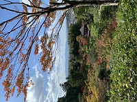 6239A1FE-6799-465B-9718-1DD2D9AA8B1D