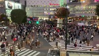 Shibuya crossing vanuit Starbucks