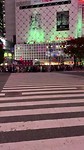 Zelf de Shibuya-Ku kruising over