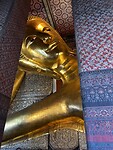 IMG_4431