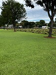 IMG_4452