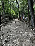 IMG_4474