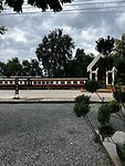 IMG_4504