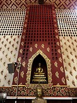 IMG_4524