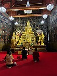 IMG_4526