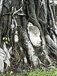 IMG_4532