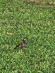 IMG_4542