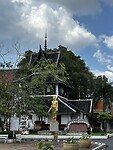 IMG_4565