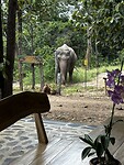 IMG_4577