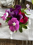 IMG_4585