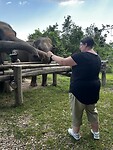 IMG_4592